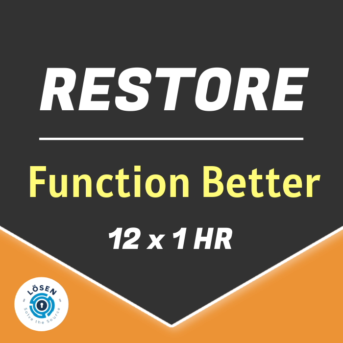 2️⃣ RESTORE PACKAGE • 12 x 1 HR Sessions