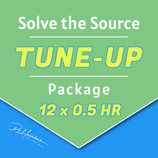 TUNE-UP PACKAGE (0.5 HR) • 12 Sessions