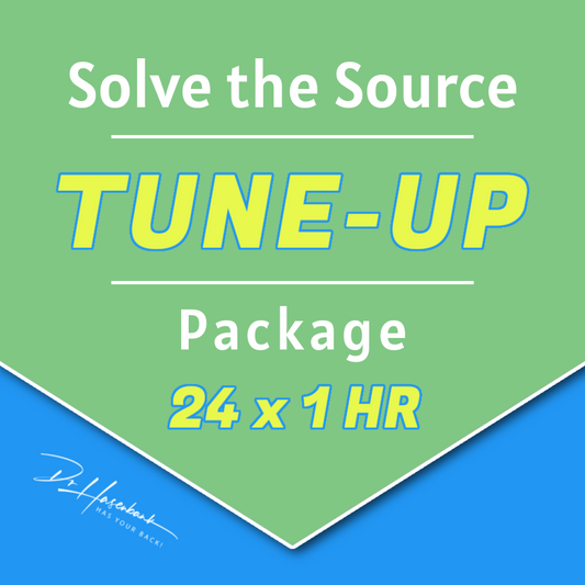 TUNE-UP PACKAGE (1.0 HR) • 24 Sessions